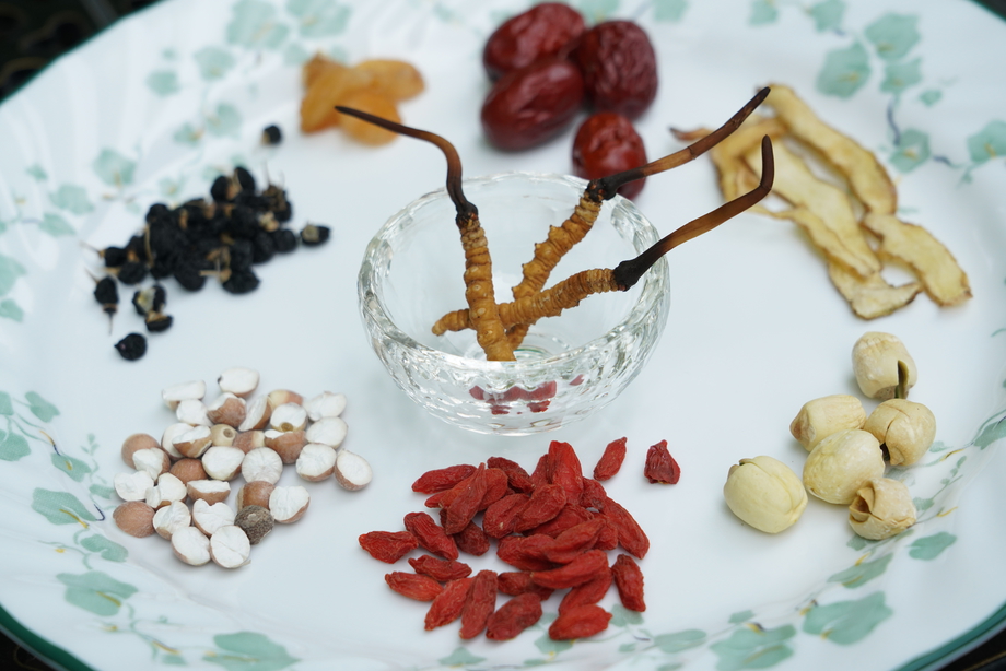 冬虫夏草 冬虫夏草