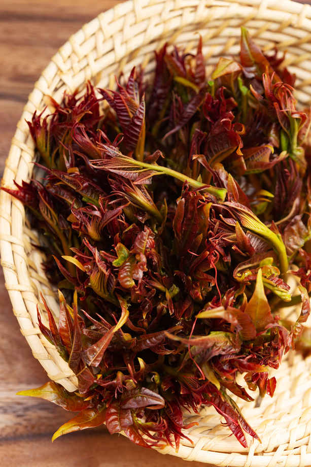 新鲜蔬菜照片 新鲜蔬菜照片