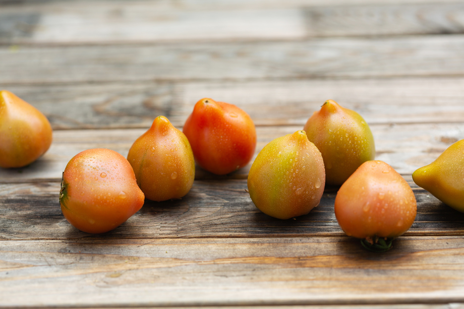 西红柿图片 西红柿图片