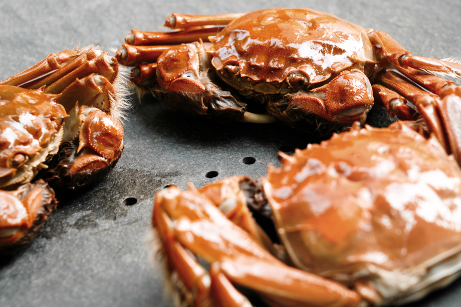 螃蟹 螃蟹