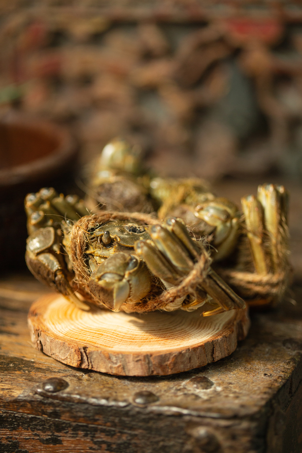 被绑扎的螃蟹照片 被绑扎的螃蟹照片