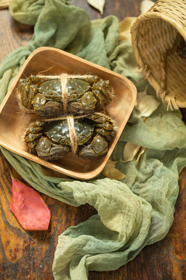 螃蟹放在托盘 螃蟹放在托盘