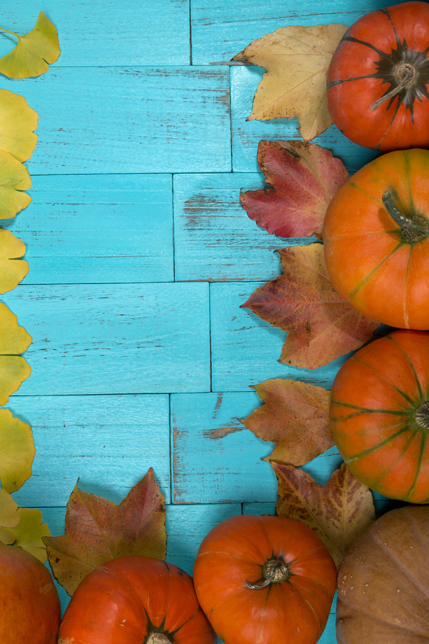 南瓜图片 南瓜图片