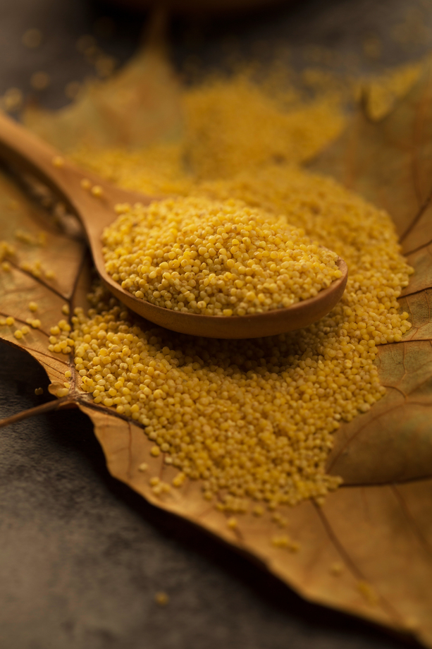 枫叶，小米图片