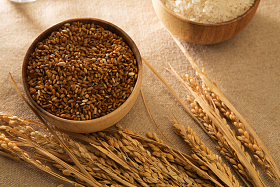 杂粮，糙米图片