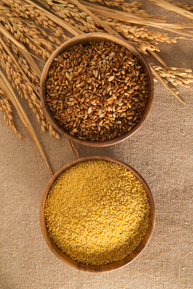 杂粮，粗粮图片