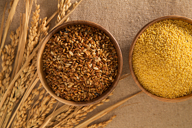 杂粮，粗粮图片