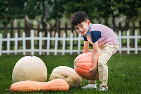 东方儿童搬南瓜图片