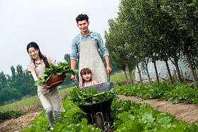 东方三口之家绿色生活图片