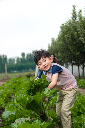 东方儿童采摘蔬菜