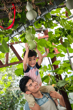 东方父子摘葫芦