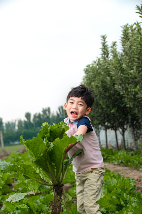 东方儿童采摘蔬菜照片