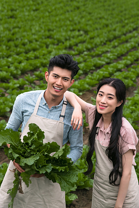 东方夫妇采摘蔬菜图片