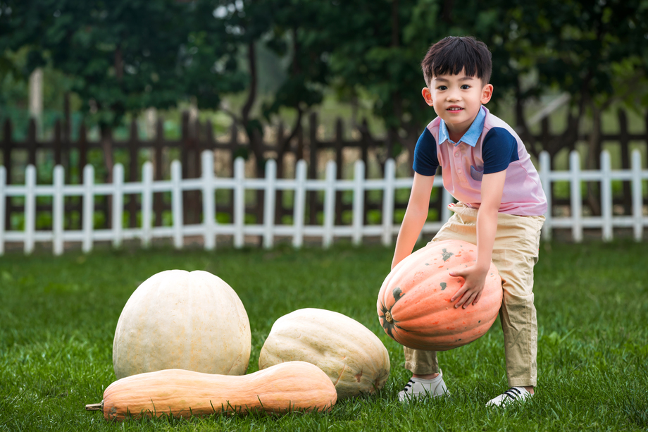 东方儿童搬南瓜 东方儿童搬南瓜