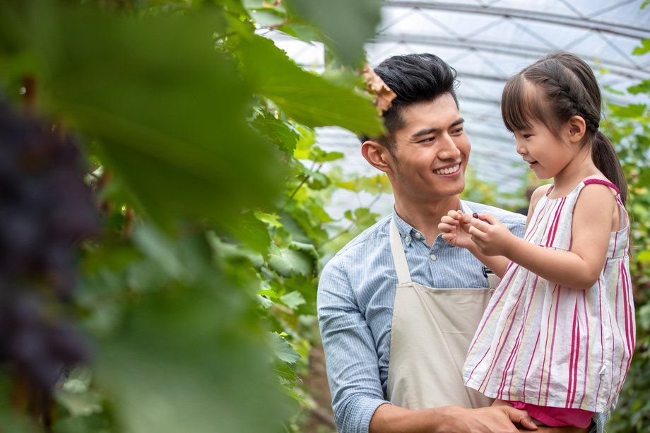 幸福父女采摘葡萄图片 幸福父女采摘葡萄图片