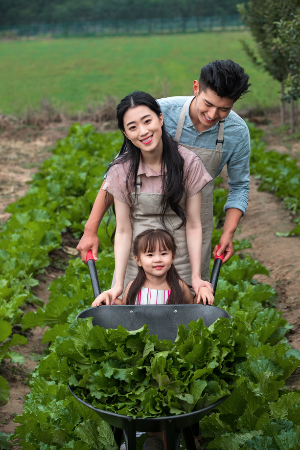 东方家庭采摘蔬菜照片 东方家庭采摘蔬菜照片