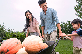 东方家庭搬运南瓜照片