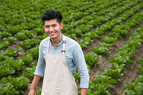 东方青年采摘蔬菜图片
