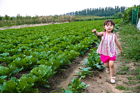 东方儿童在农庄玩耍图片