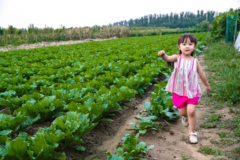 东方儿童在农庄玩耍图片 东方儿童在农庄玩耍图片