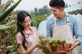 东方夫妇采摘玉米