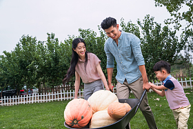 东方三口之家搬运南瓜