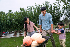 东方家庭采摘南瓜图片