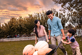 东方家庭搬运南瓜图片