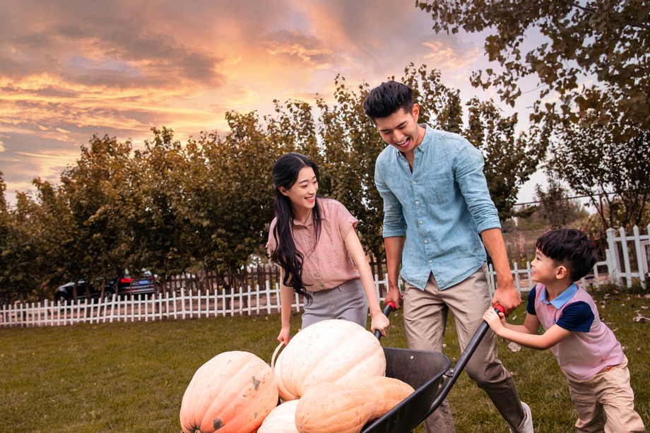 东方家庭搬运南瓜图片