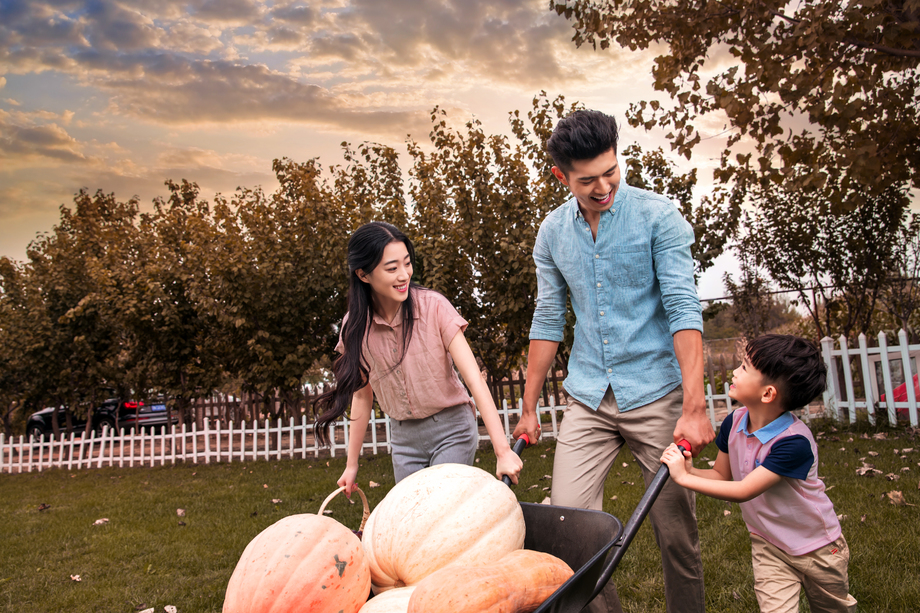 东方家庭搬运南瓜 东方家庭搬运南瓜