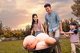 东方家庭搬运南瓜图片