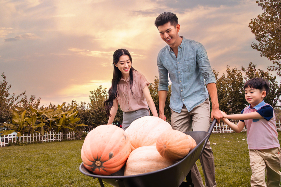东方家庭搬运南瓜图片 东方家庭搬运南瓜图片