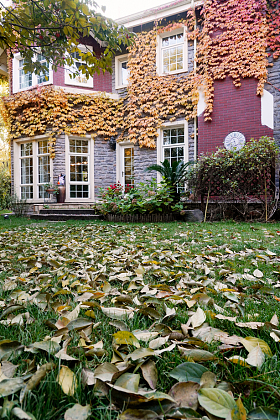 私家别墅的庭院图片