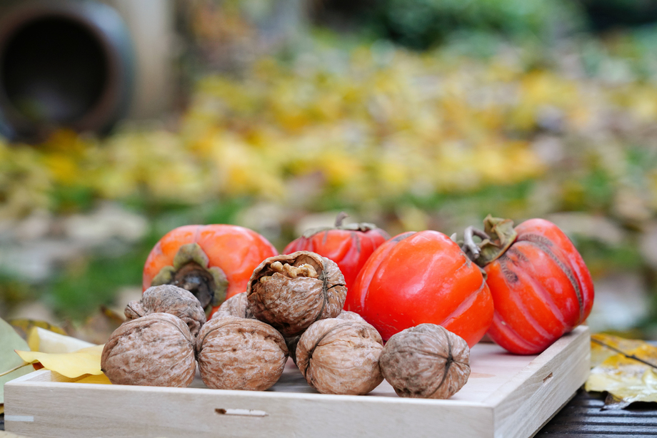 户外柿子和核桃图片 户外柿子和核桃图片