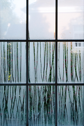 雨后的窗户图片