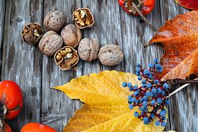 秋天丰收的果实图片