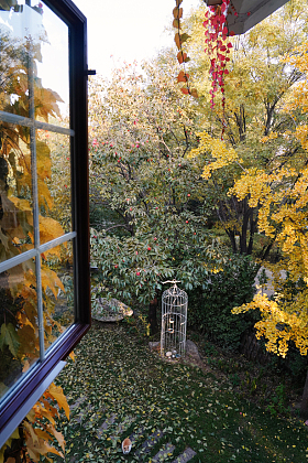 秋天从窗户看庭院中的美景