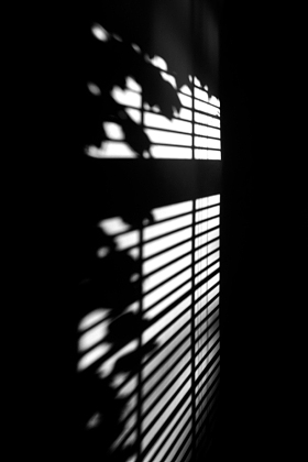 逆光拍摄窗户映到墙壁上的影子