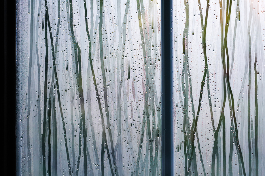 雨后的窗户局部