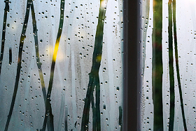 雨后的窗户局部
