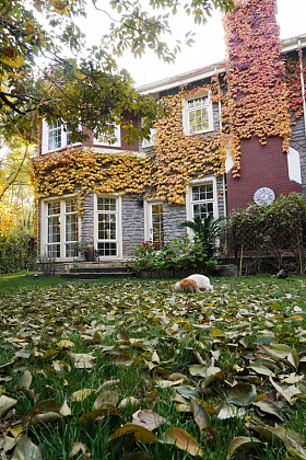 私家别墅的庭院