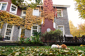 私家别墅的庭院