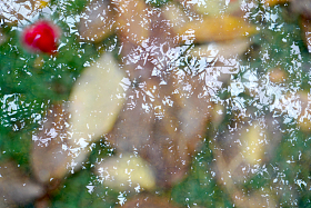 水面的倒影图片