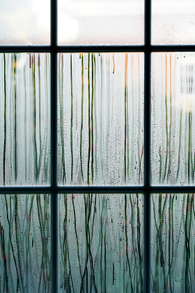 雨后的窗户