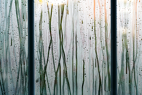 雨后的窗户局部