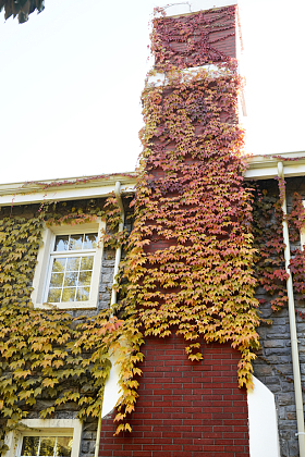 私家别墅外观局部