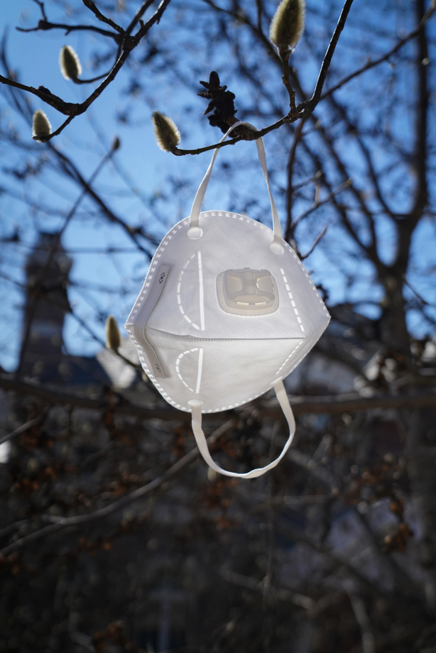 悬挂在树枝上的口罩图片 悬挂在树枝上的口罩图片