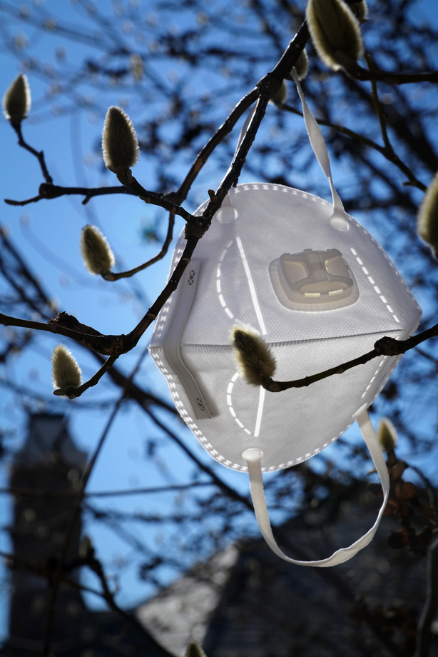 悬挂在树枝上的口罩 悬挂在树枝上的口罩