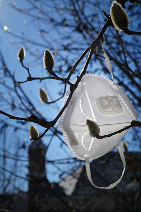 悬挂在树枝上的口罩图片