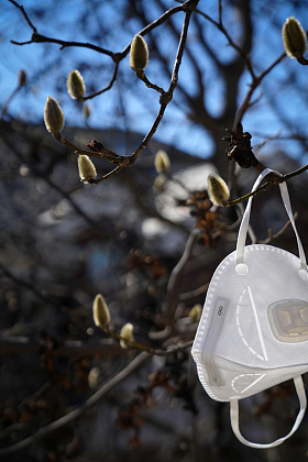 悬挂在树枝上的口罩图片